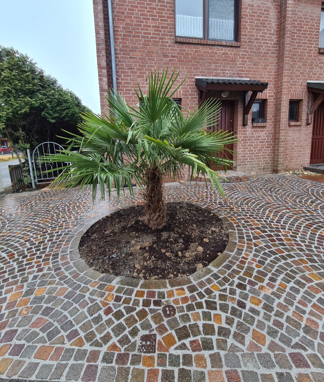 Köhnen Gartengestaltung